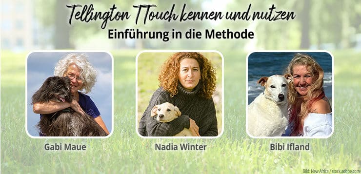 3-tägiger Live-Online-Lehrgang am 6., 13. und 20. Juli: jetzt anmelden!