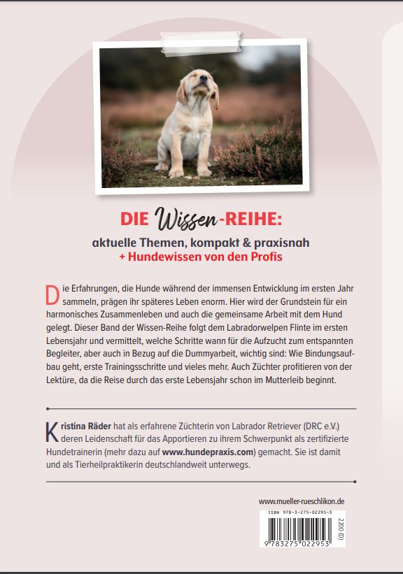Ein Welpe soll es sein