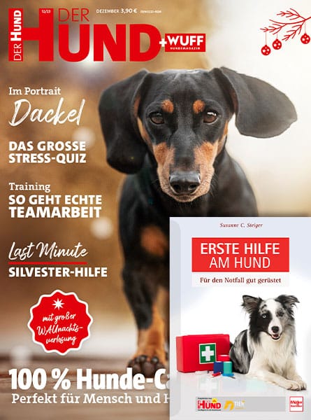 DER HUND Jahresabo + Erste Hilfe Buch gratis