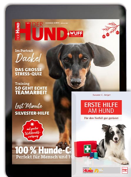 DER HUND Jahresabo Online + Erste Hilfe Buch gratis