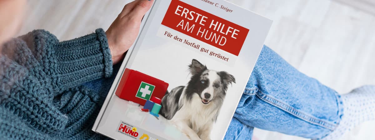 Erste Hilfe am Hund