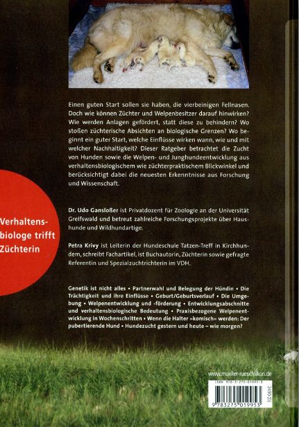 Buch 