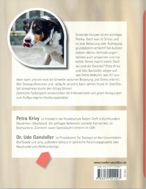 Buch 