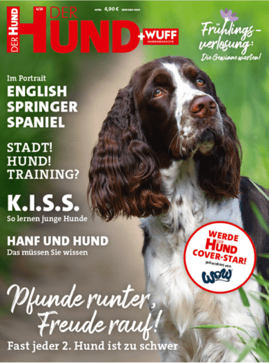 DER HUND Ausgabe April 2024