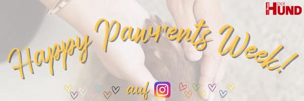 Happy Pawrents Week