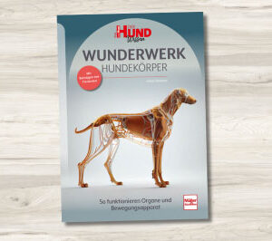 Buch "Wunderwerk Hundekörper"