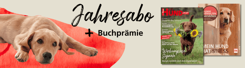 Headerbild zum DER HUND Jahresabo mit Buchprämie