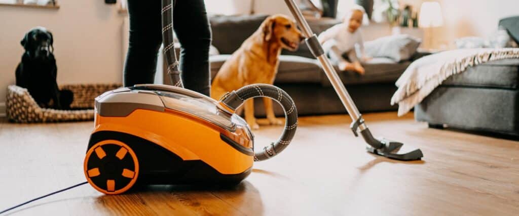 Adventskalender 2025 🎁 24 – THOMAS