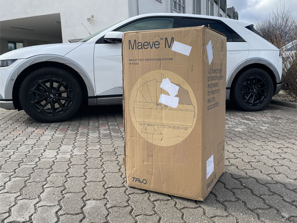 Karton mit Haustier-Autositz Maeve