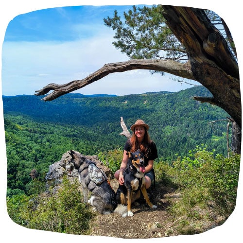 Zwei Hunde und eine Person sitzen auf einem Felsen mit Blick über ein bewaldetes Tal und ferne Hügel.