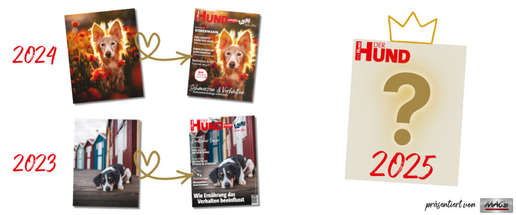 Foto Windhund und DER HUND Cover damit, darunter Hund vor Bootshäusern und Cover damit, rechts leeres Cover mit Fragezeichen