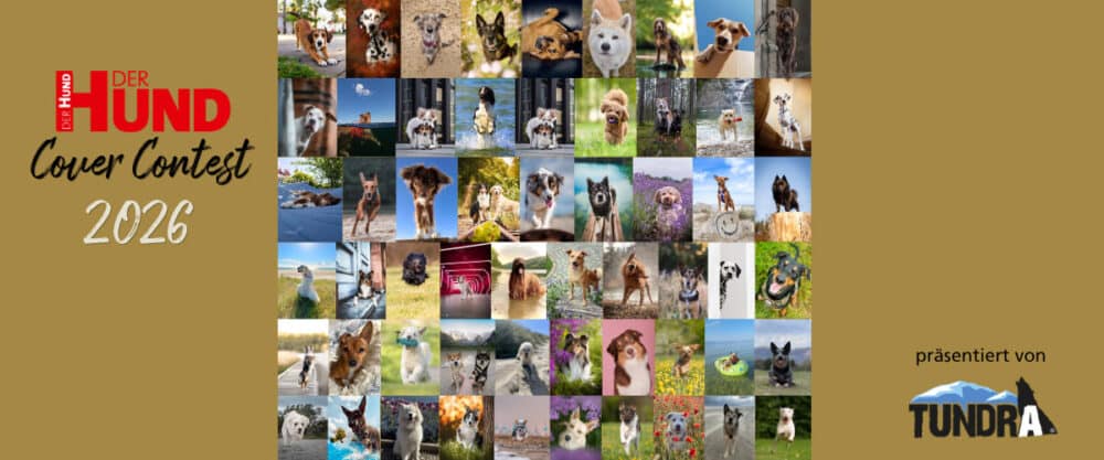 Collage zum DER HUND Cover Contest 2026 mit vielen Hundefotos und Tundra-Logo.