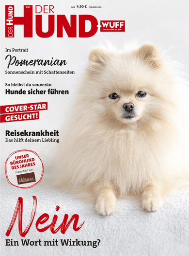 Cover der Juni-Ausgabe 2025 vom Magazin DER HUND mit einem beigefarbenen Pomeranian auf hellem Hintergrund.
