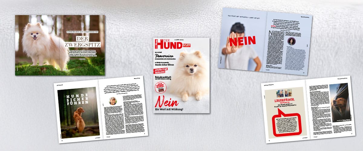 Das Cover der DER HUND Ausgabe 6/25 mit 4 Doppelseiten aus dem Heft