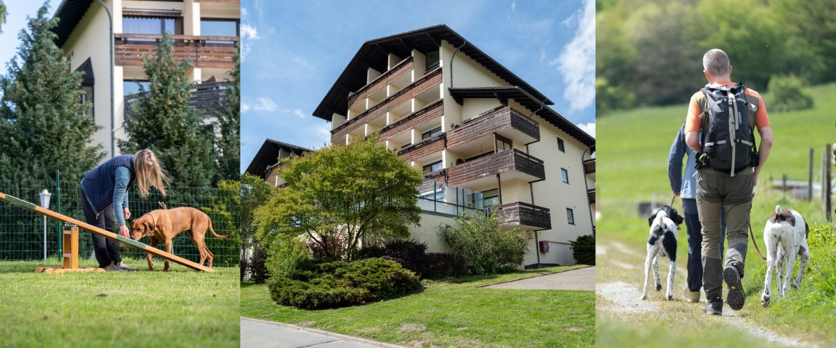 Eindrücke des Hotels Der Wolfshof: links Hund bei Wippe auf Sportwiese, mittig Gebäude von außen, rechts Wandernde mit Hund