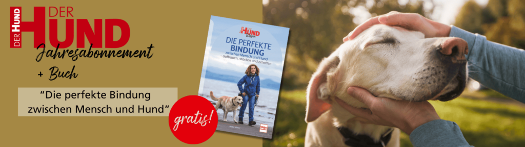 Werbebanner für Jahresabonnement Der Hund plus gratis Buch 