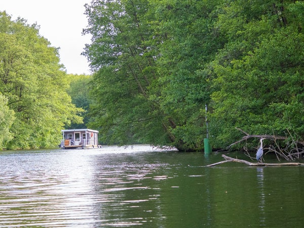 Hausboot fährt einen ruhigen, grünen Fluss entlang, Reiher sitzt auf Ast am Ufer, dichter Baumbewuchs.