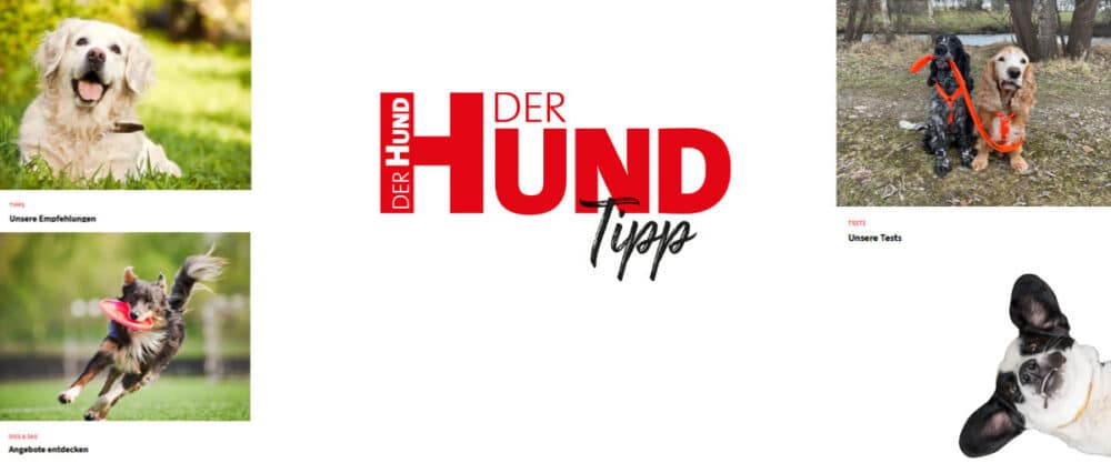 Vier Hunde in verschiedenen Situationen, mittig der Schriftzug "DER HUND Tipp" in Rot und Schwarz auf weißem Hintergrund.