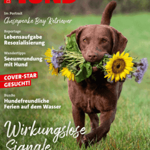 Cover der DER HUND Ausgabe 7/25 mit einem Chesapeake Bay Retriever auf dem Titelbild