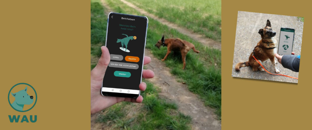 Eine Person nutzt die WAU-App, während ein Hund auf einem Feldweg sein Bein hebt; daneben ein Hund an der Leine vor Smartphone.