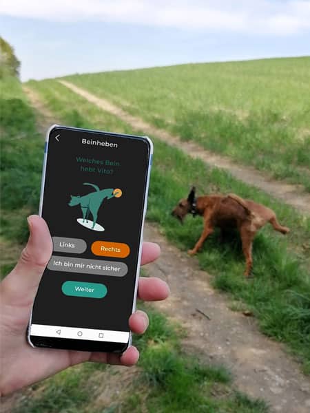 Person hält Smartphone mit Hunde-App, im Hintergrund hebt ein Hund auf einem Feldweg beim Gassigehen ein Bein.
