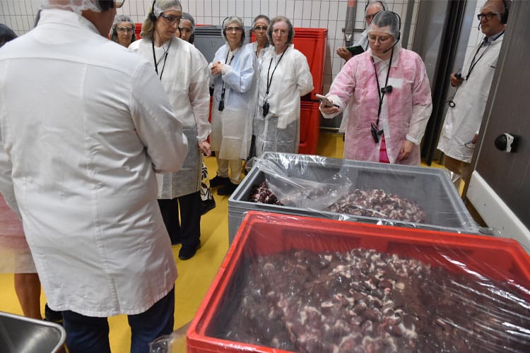 Personengruppe in Schutzkleidung besichtigt Behälter mit frischen Organen in einem Verarbeitungsbereich.