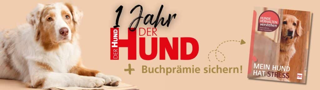 Sichere dir das Jahresabonnement von DER HUND mit gratis Buch