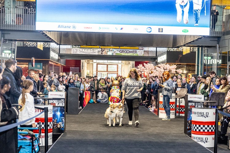 Hunde laufen mit Halterin über den Laufsteg bei der DogWorld München vor großem Publikum.