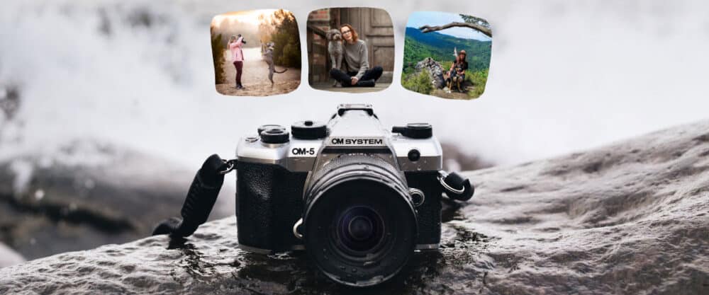 Kamera auf nassem Felsen, darüber drei kleine Fotos mit Menschen, Hunden und Naturmotiven schwebend angeordnet.