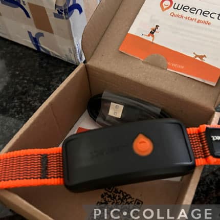 GPS-Tracker mit orangefarbenem Halsband, USB-Kabel und Anleitung liegen in geöffneter Verpackung.