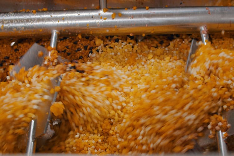 Kleine gelb-orange Gemüsewürfel werden in einer Maschine durch Metallarme kräftig vermischt und bewegt.