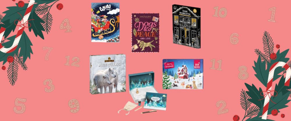 Verschiedene Adventskalender für Hunde auf weihnachtlich gestaltetem Hintergrund.