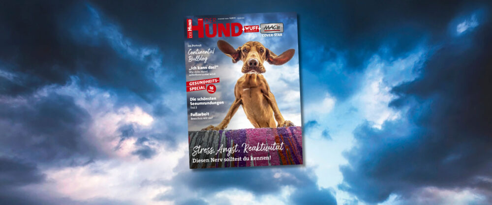 DER HUND Cover Aug/Sept 2025 mit Vizsla, von unten nach oben fotografiert, vor dramatisch bewölktem Himmel.