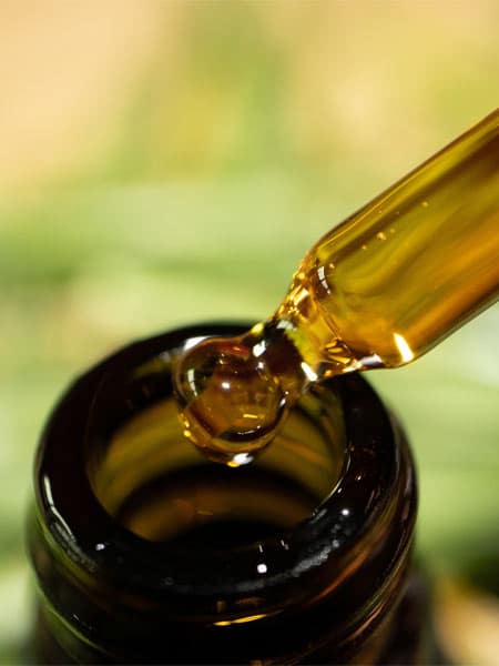 Pipette mit Tropfen von CBD-Öl als Nahrungsergänzung für Hunde