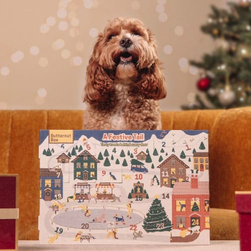 Hund sitzt auf Sofa vor festlichem Adventskalender mit Weihnachtsbaum und Geschenken im Hintergrund.