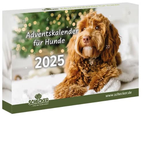 Adventskalender für Hunde 2025 von Schecker mit Hund und festlich geschmücktem Weihnachtsbaum.