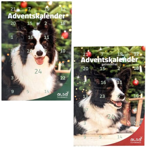 Zwei Adventskalender für Hunde von alsa hundewelt mit Border Collie und festlichem Weihnachtsbaum.