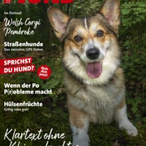 Ausgabe Oktober 2025