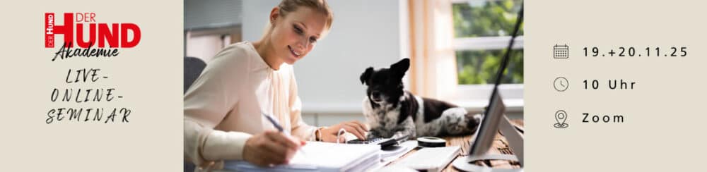Hund sitzt neben einer Frau am Schreibtisch; 19. und 20.11.25 Live Online-Seminar Von Versicherungen bis Steuer