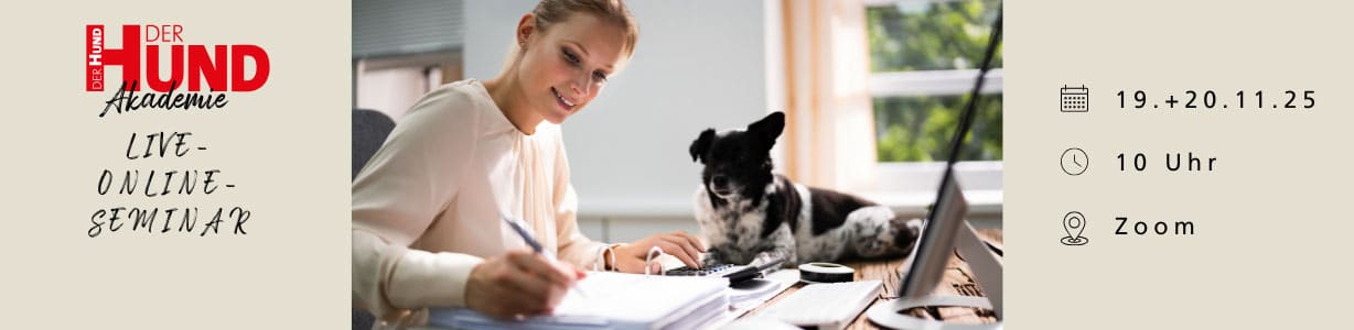 Hund sitzt neben einer Frau am Schreibtisch; 19. und 20.11.25 Live Online-Seminar Von Versicherungen bis Steuer