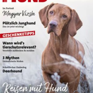 Ausgabe November 2025