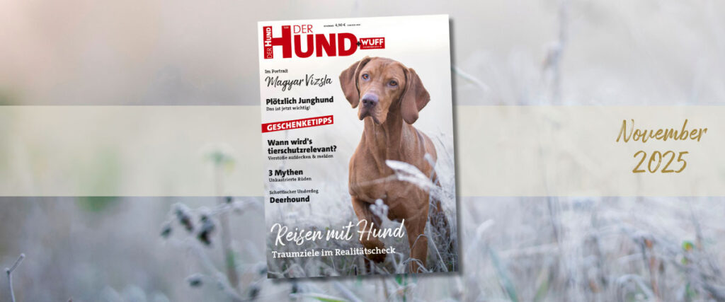 Titelblatt der Zeitschrift