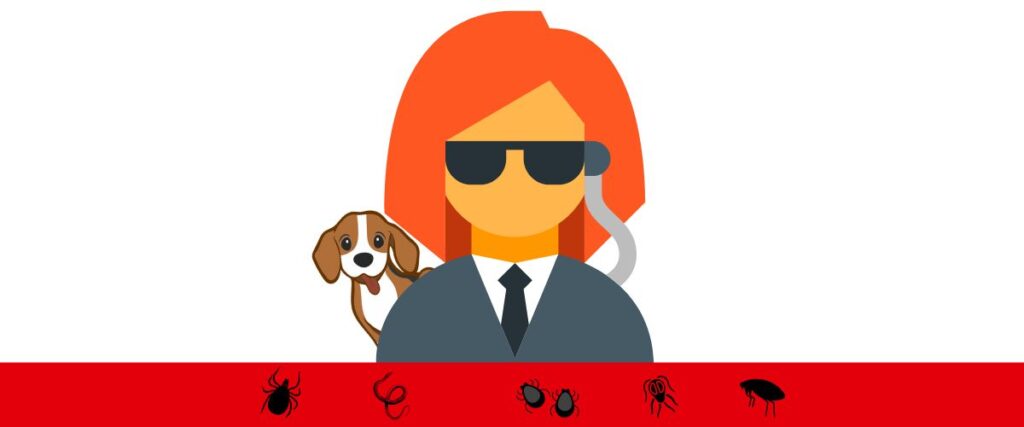 Grafik: Agentin mit Hund hinter sich schützt diesen vor Parasiten: Zecke, Floh, Milbe und Co. am unteren Bildrand.