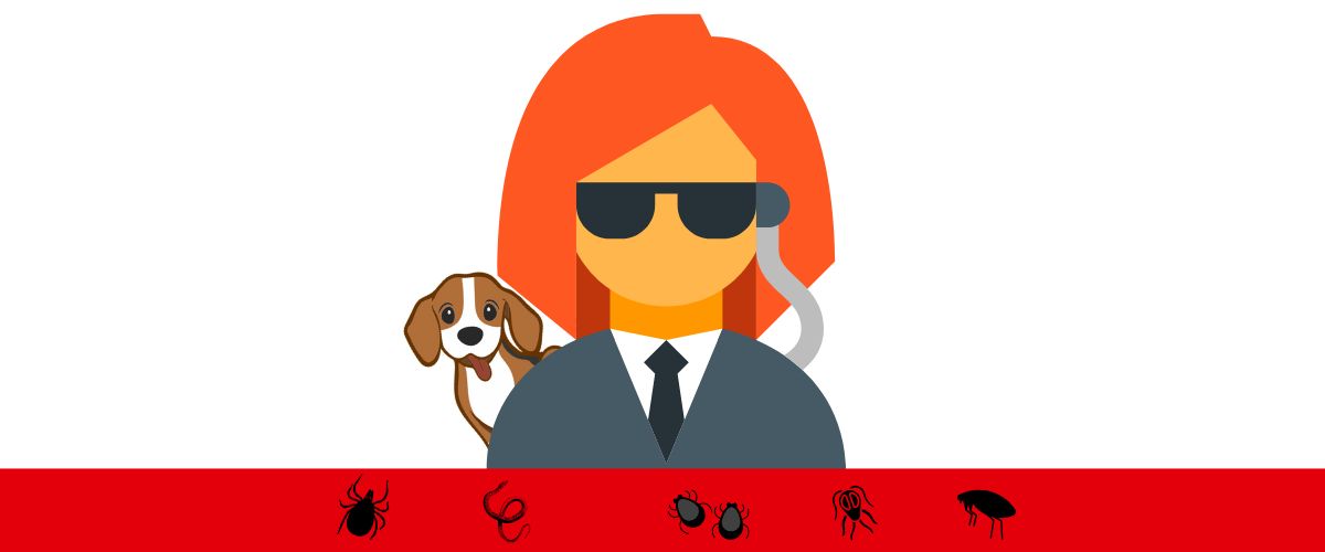 Grafik: Agentin mit Hund hinter sich schützt diesen vor Parasiten: Zecke, Floh, Milbe und Co. am unteren Bildrand.