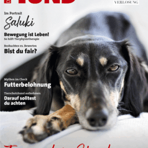 Ausgabe Dezember 2025