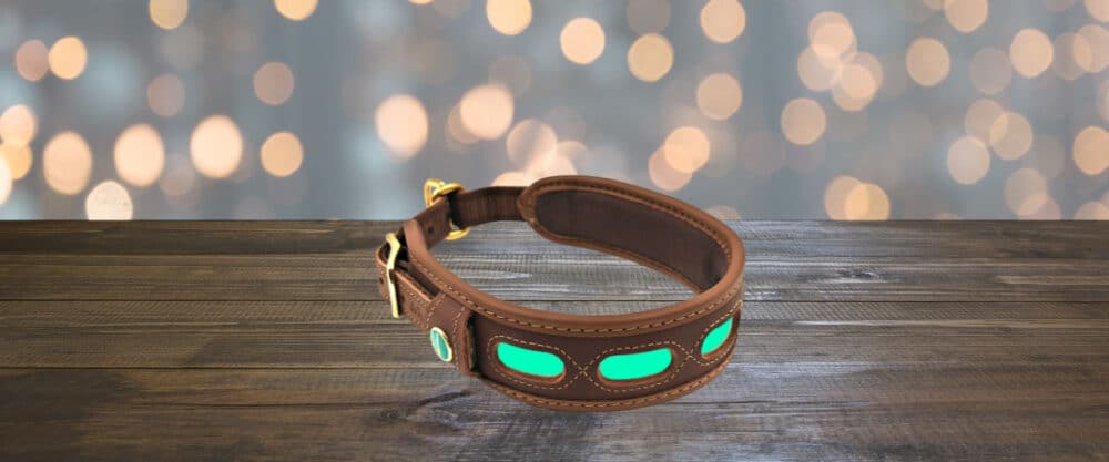Ein braunes Hundehalsband mit grünen Leuchtelementen liegt auf einem Holztisch vor unscharfem Lichterhintergrund.