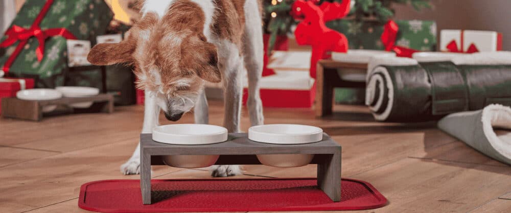 Ein Hund steht vor zwei weißen Näpfen auf einer erhöhten Halterung, umgeben von festlich eingepackten Geschenken.