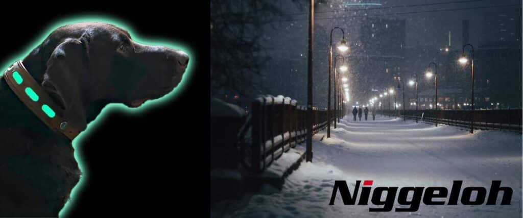 Adventskalender 2025 🎁 9 – Niggeloh