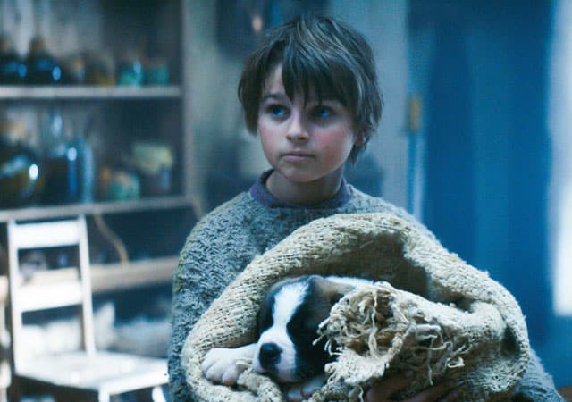 Der junge Georg hält einen in eine Decke gewickelten Bernhardinerwelpen