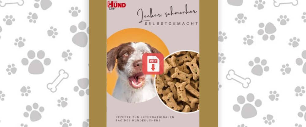 Titelgrafik eines PDF mit Hundekopf und Keksen in Knochenform, Text „Lecker schmacker SELBSTGEMACHT“.
